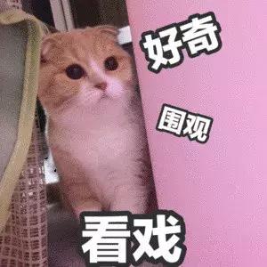 广州民营500强企业名单一览表,多家500强企业落户广州