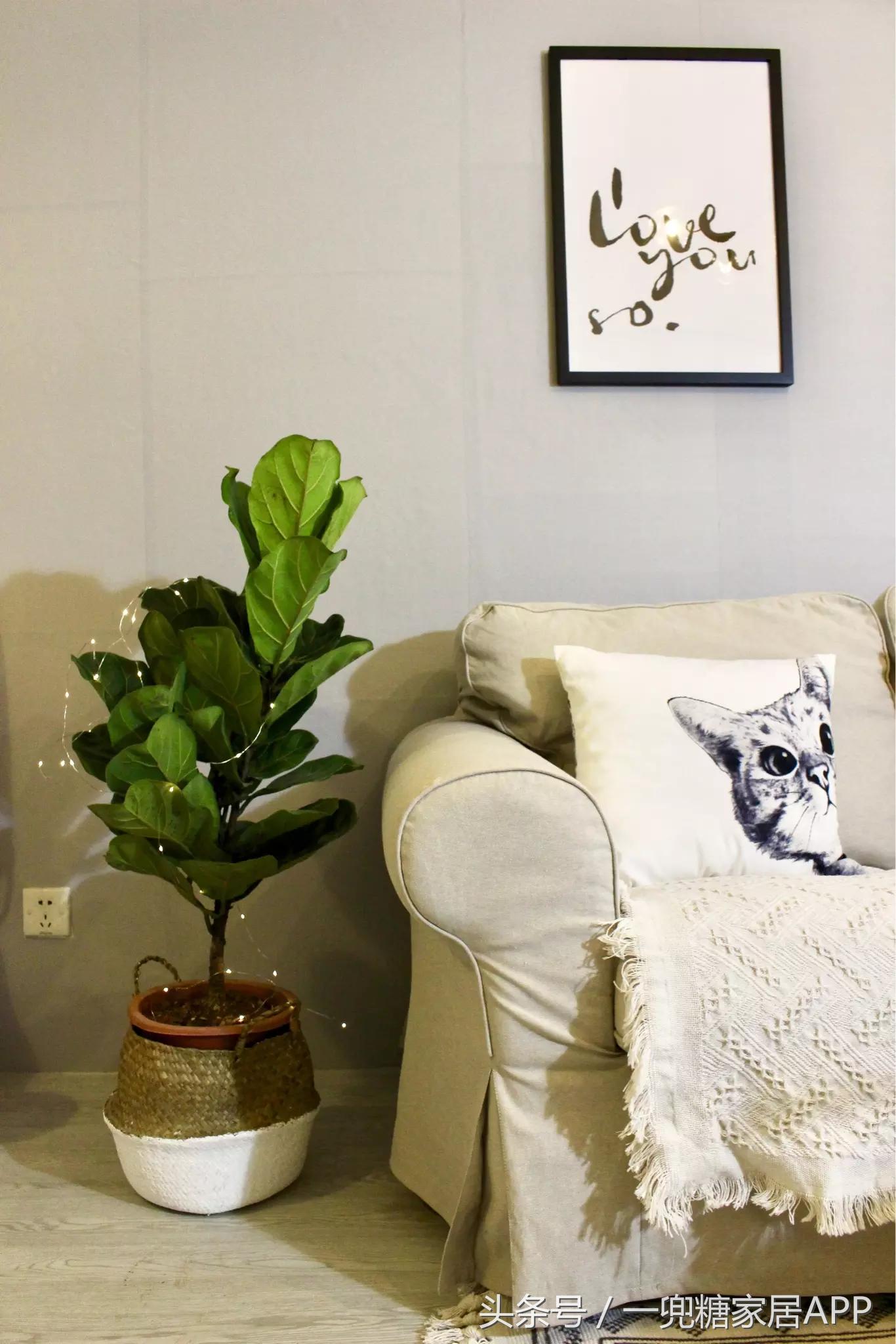 手指褪皮，用坏6对手套，90后美女爆改破旧公寓，是我小瞧你了！