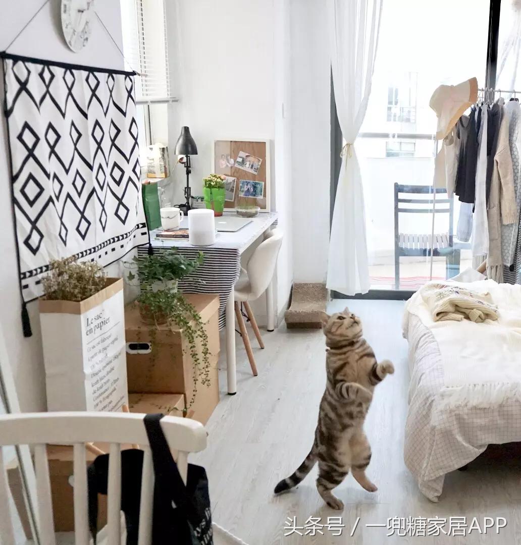 手指褪皮，用坏6对手套，90后美女爆改破旧公寓，是我小瞧你了！