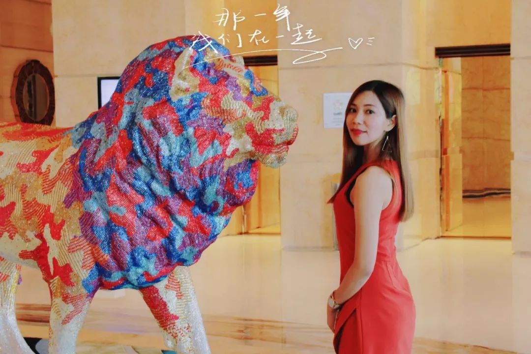 澳门美狮美高梅酒店特色,澳门有几家美狮美高梅酒店