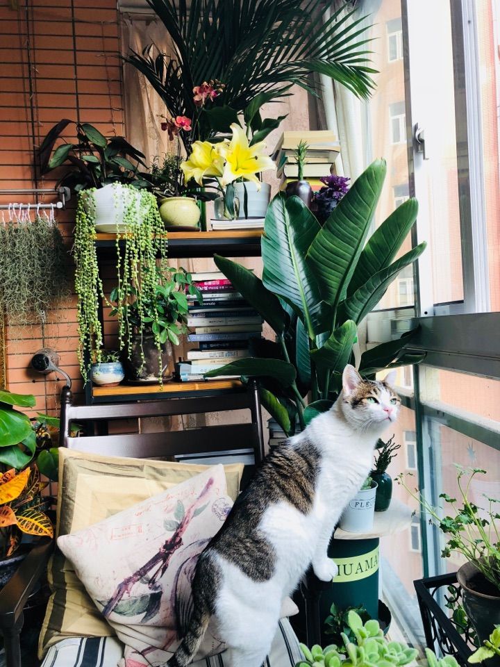 房屋里坏了什么由房东修理,房主家东西坏了该谁修