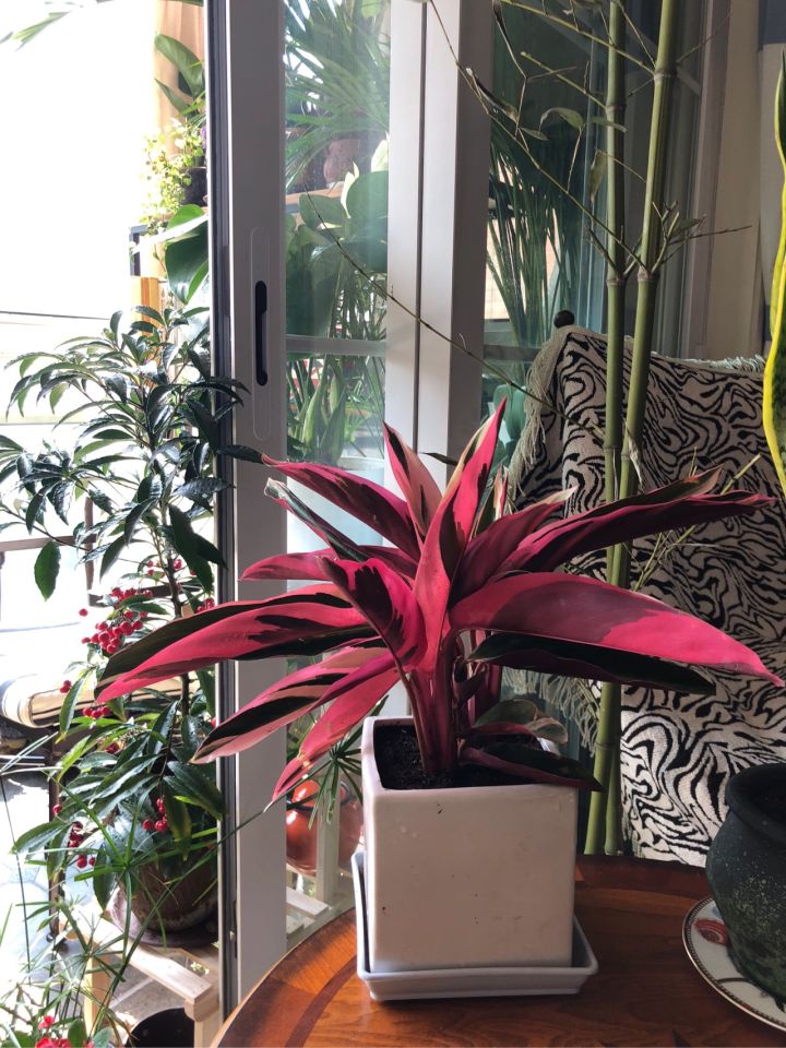 房屋里坏了什么由房东修理,房主家东西坏了该谁修