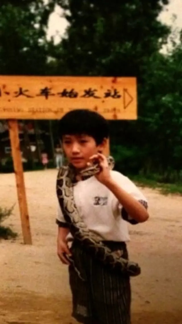 沈教授和朱一龙谁厉害,沈教授朱一龙现状