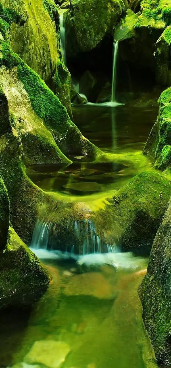 拍水技巧,正确拍水的方法教程