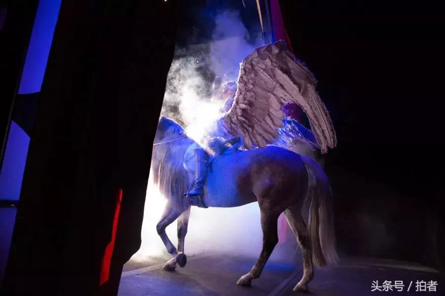 外国女记者遭性侵案,欧美女记者性侵案