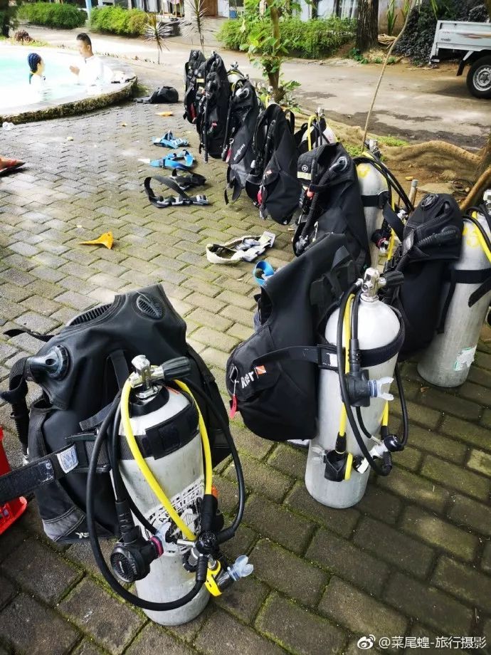 印尼美娜多潜水,印尼美娜多潜水考证