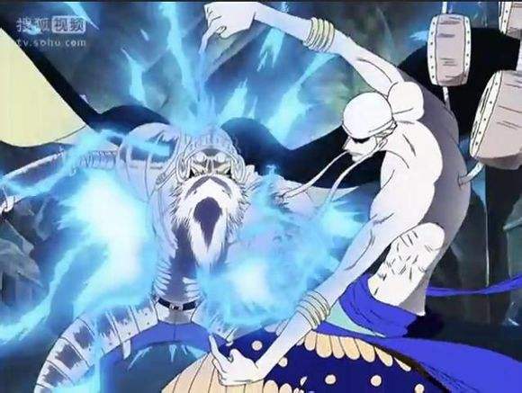 海贼王十大灾难果实,海贼王的治愈率