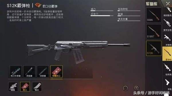 刺激战场里面十大最强的枪,刺激战场前十枪