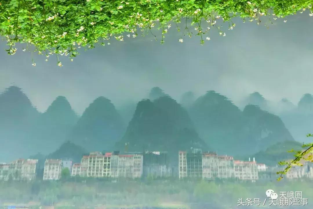 鎮﹁澶╁湴涔︽硶瑙嗛,鎮﹁澶╁敞