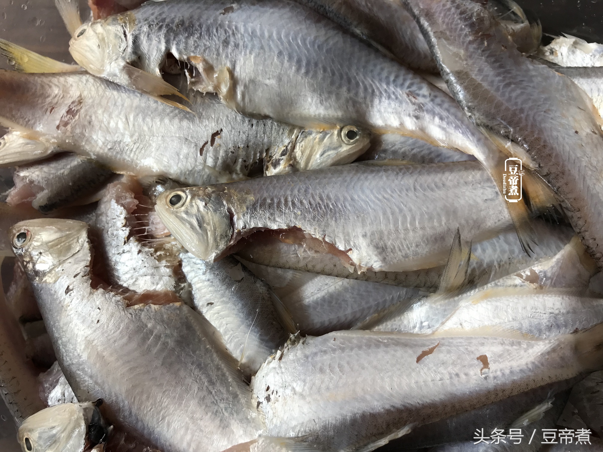 长江刀鱼的做法有哪些,长江刀鱼咋样做