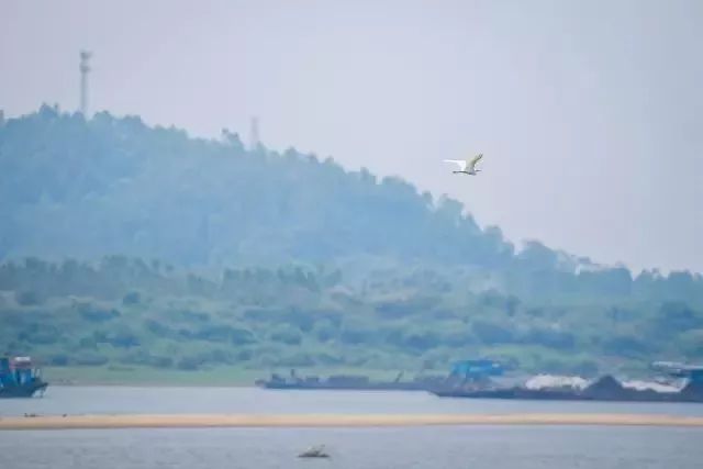 清远大角禾场生态温泉民宿,清远止林温泉度假民宿