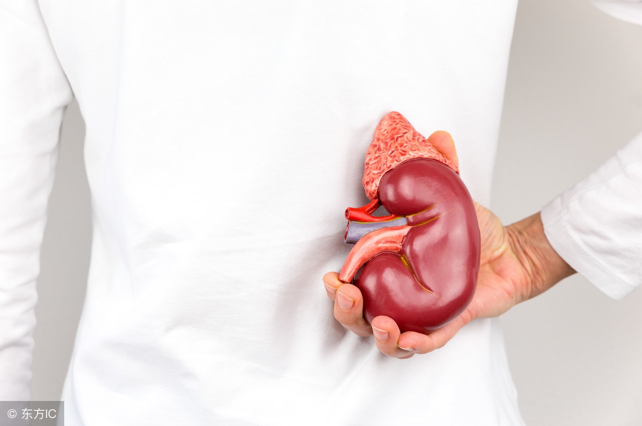 82岁老人肾内长巨石！如何将巨型结石一次性清理干净