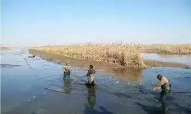 大荔话调侃,调侃大荔人视频