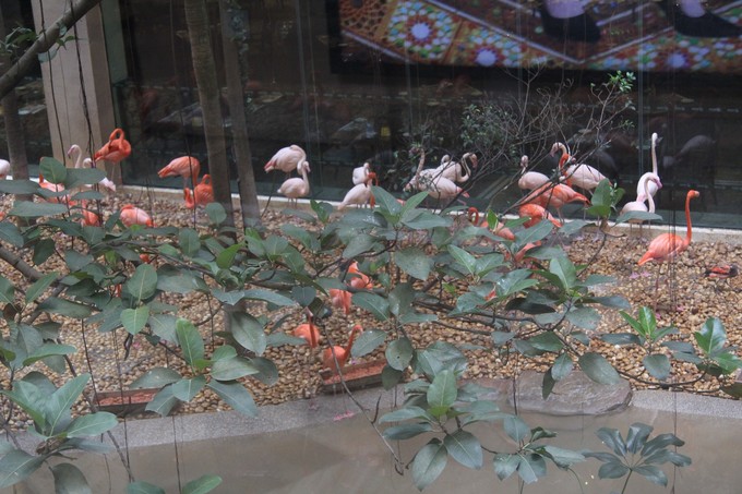 广州旅游亲子游三天两夜,广州两天一夜亲子游