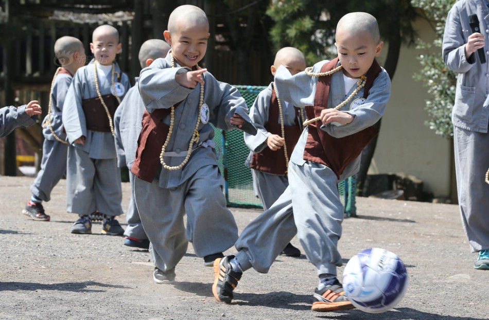 佛系看球,佛系看球欧洲杯