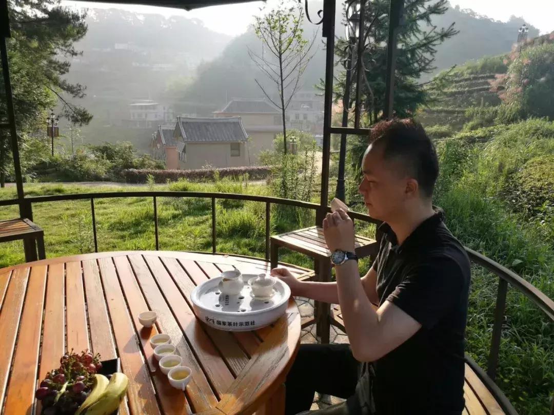 到茶叶市场的感受,到茶园走走