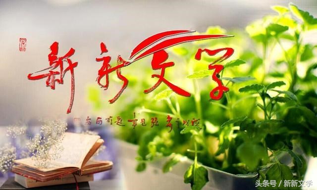 陕西韩城55万亩花椒 (韩城万亩花椒基地在哪里)