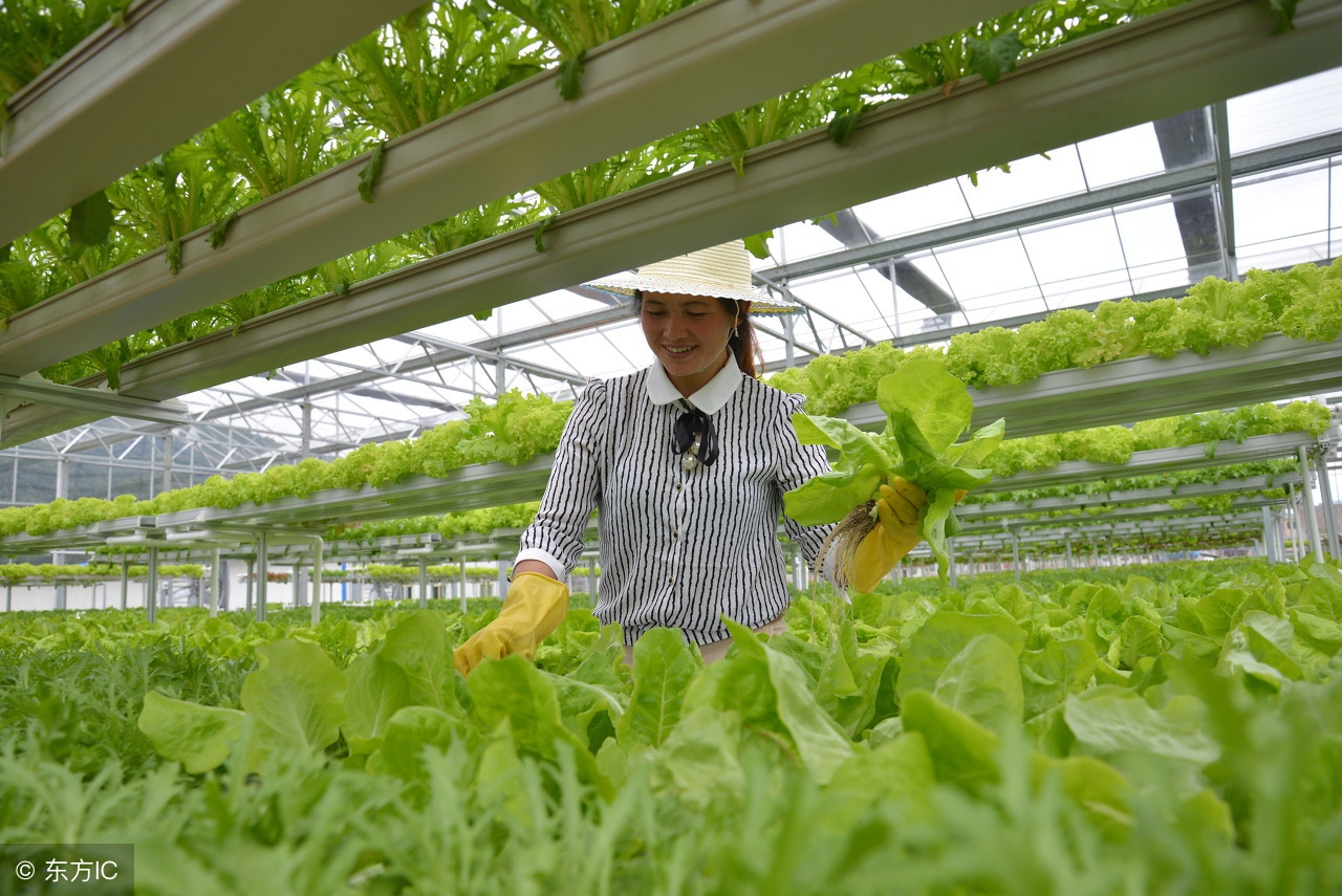 大学生农村创业国家有什么政策,四川大学生创业补贴政策申请流程