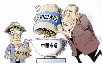 进口大豆最新事件,山东晨曦集团停产了吗