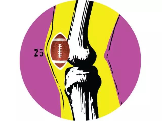 人类的身体器官有什么,人类肉体进化到极致