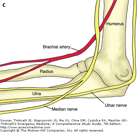 为什么人类的身体构造这么完美,人类身体结构有什么不完美之处