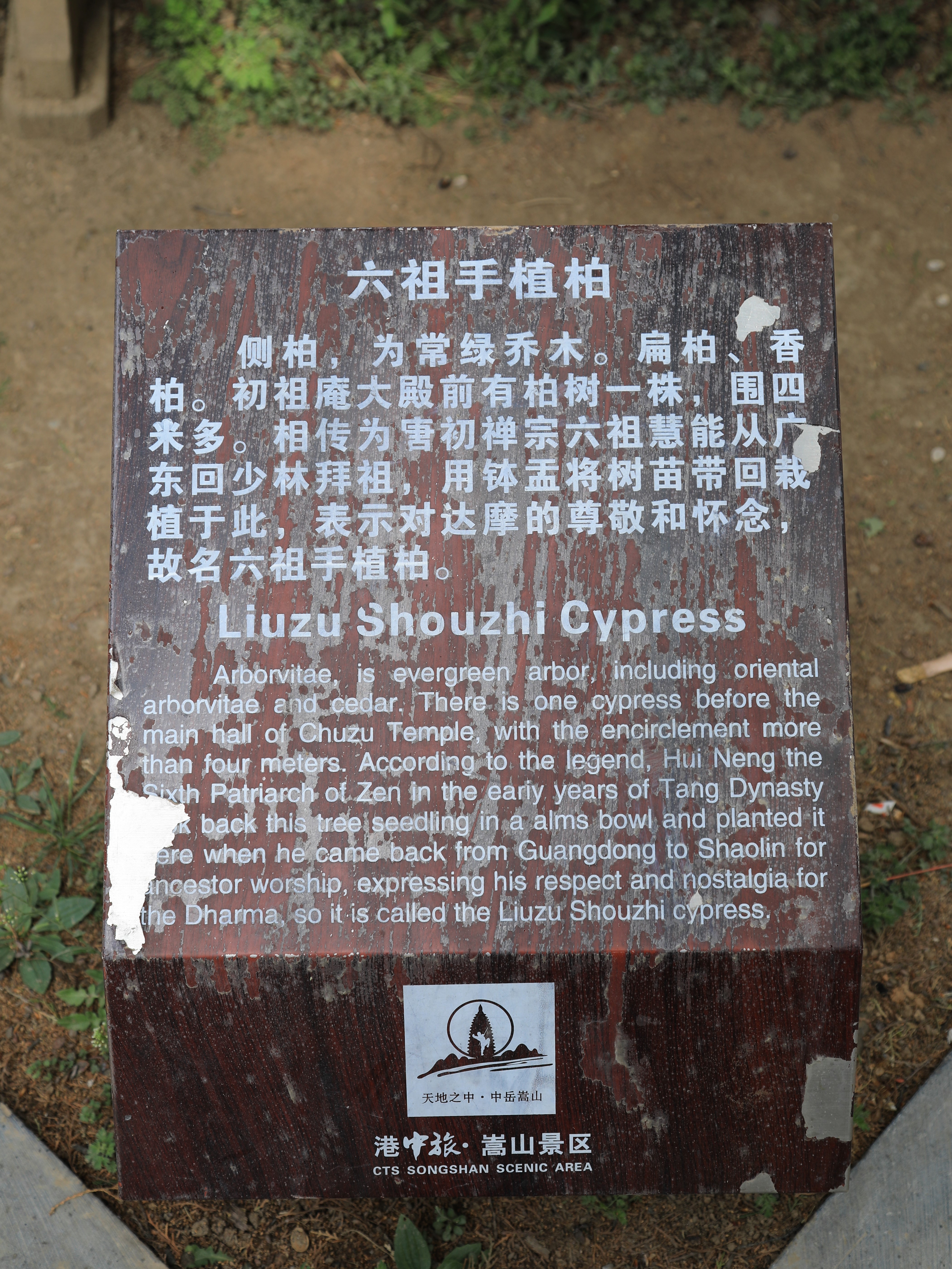 哪些地方有塔林,什么是塔林