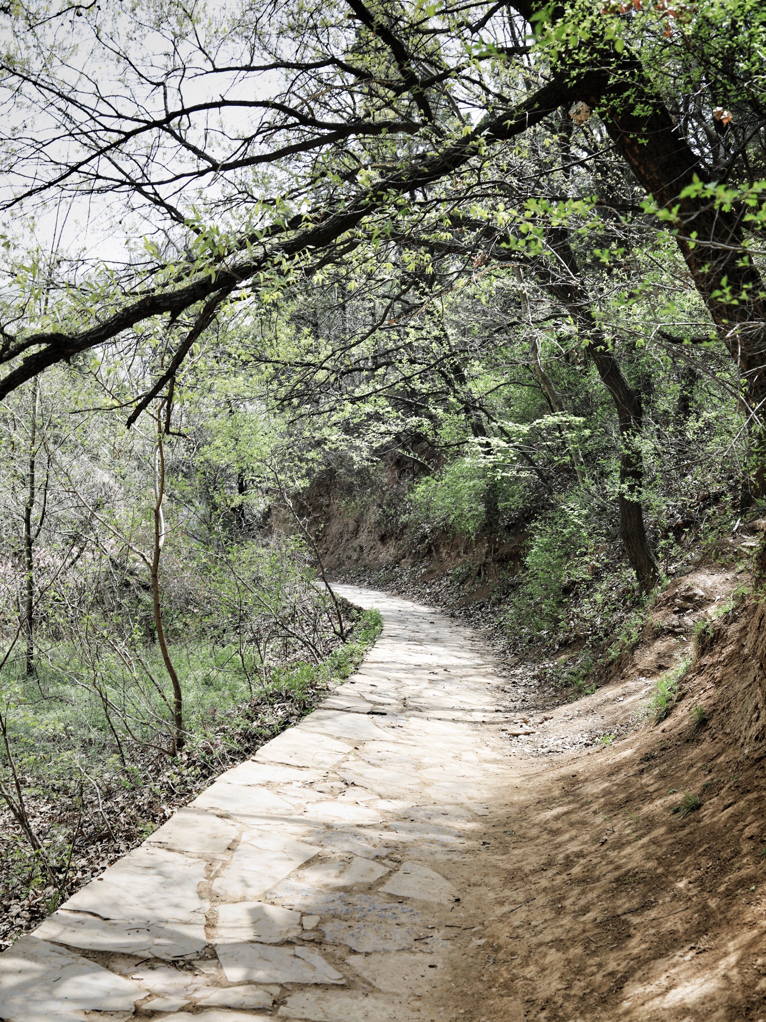 哪些地方有塔林,什么是塔林