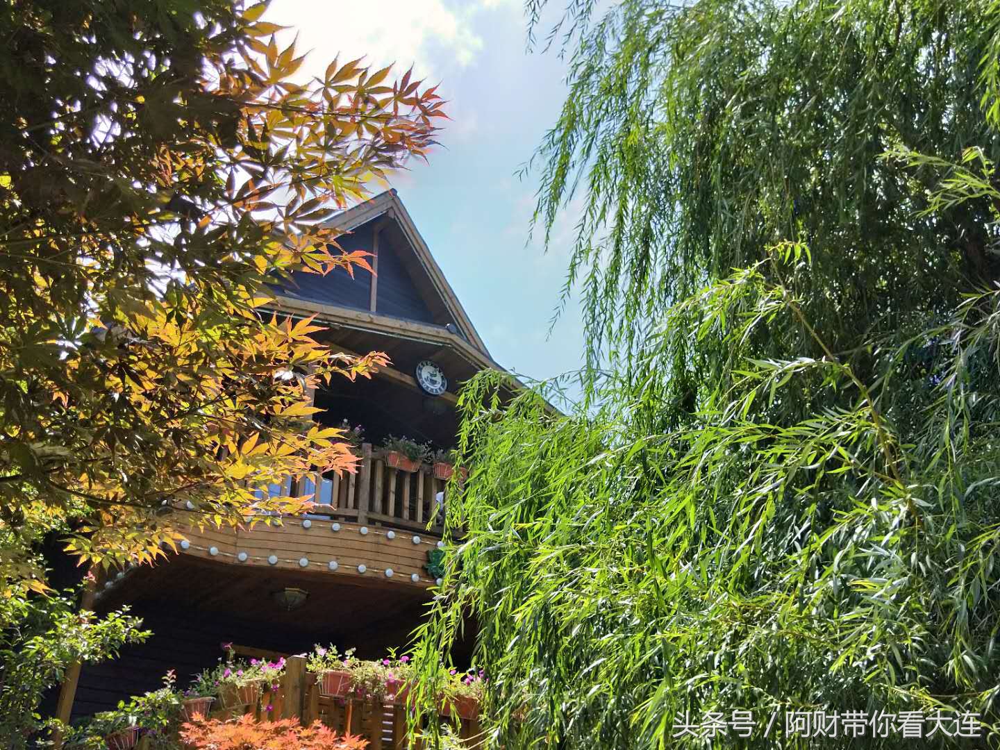 长青湖自然风景,长青湖世外桃源