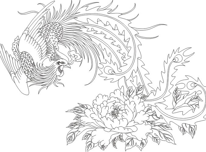 凤凰白描线稿图,百鸟之王凤凰图片唯美