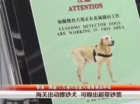 香港代购现在查得严吗,香港代购海关注意事项