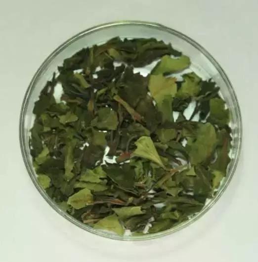 认识毒品远离毒品珍爱生命,认识危险化学品