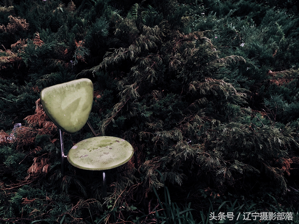 2020年ipa摄影奖获奖作品,ippa摄影大赛获奖作品2010