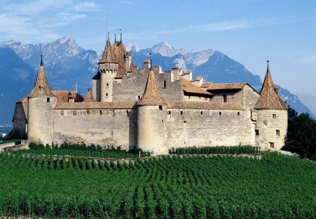 葡萄酒的养生原理和方法,葡萄酒养生真的有用吗