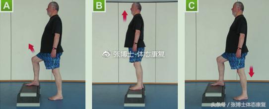 老年人功能性训练方法,专家讲解老年人如何正确锻炼身体