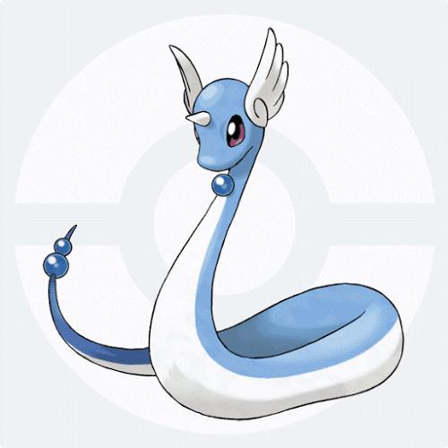 都有哪些宠物小精灵,十大最火的宠物小精灵