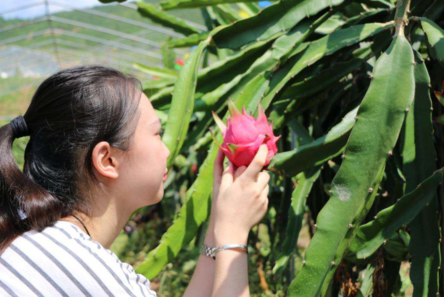 天台漂流攻略,天台漂流