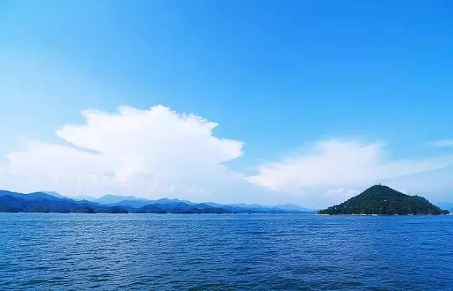 40岁大叔买下一座岛,大叔为钓鱼买下一座岛