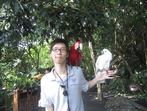 梦旅人海阳,梦旅人旅行