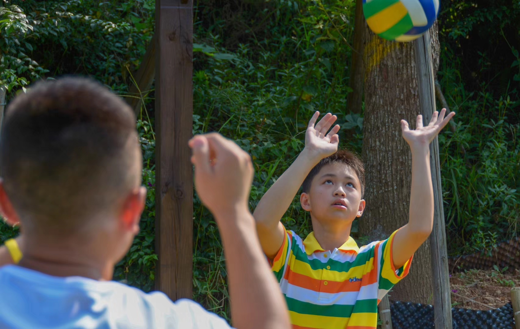 鎬庝箞棰勫畾濂ュ痉鏇煎浠よ惀,濂ュ痉鏇煎浠よ惀鎯犲窞