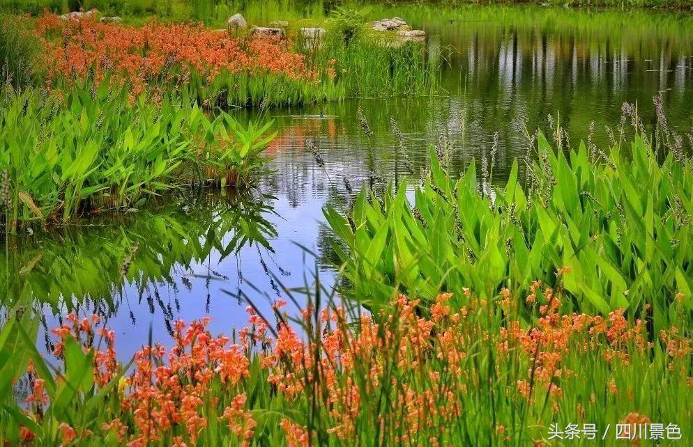 小众又免费！成都地铁直达的天然氧吧！清凉洗肺又解暑！
