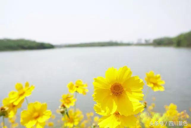 小众又免费！成都地铁直达的天然氧吧！清凉洗肺又解暑！