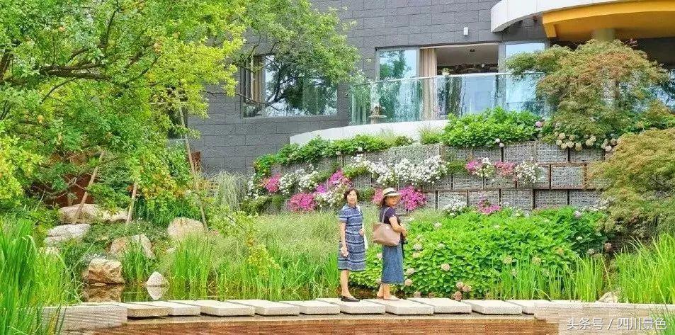 小众又免费！成都地铁直达的天然氧吧！清凉洗肺又解暑！