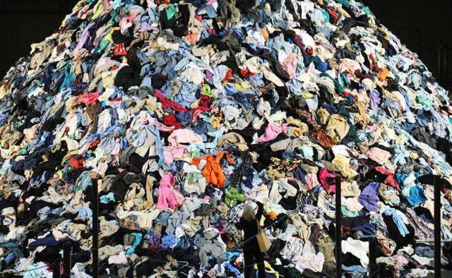 burberry奢侈品被查,burberry奢侈品避坑