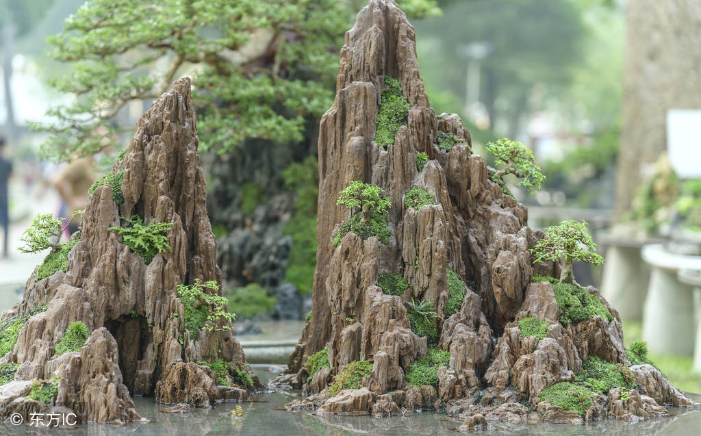 绝美优雅的盆景欣赏（太漂亮了，快分享给朋友吧！）