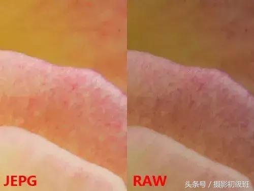 相片格式应该选raw还是jpg,照片选jpg还是png