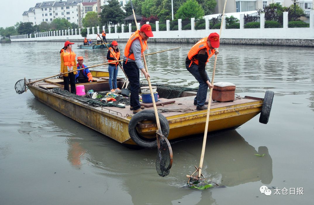 未来三年，太仓生态环境怎样变得更好？这里有答案~