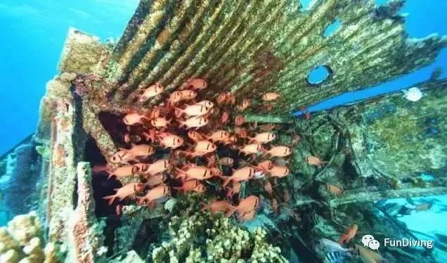 到塞班去看海,到了塞班怎么去美国