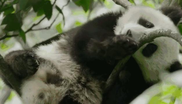 成都地铁主题列车大全,成都最美地铁站打卡攻略