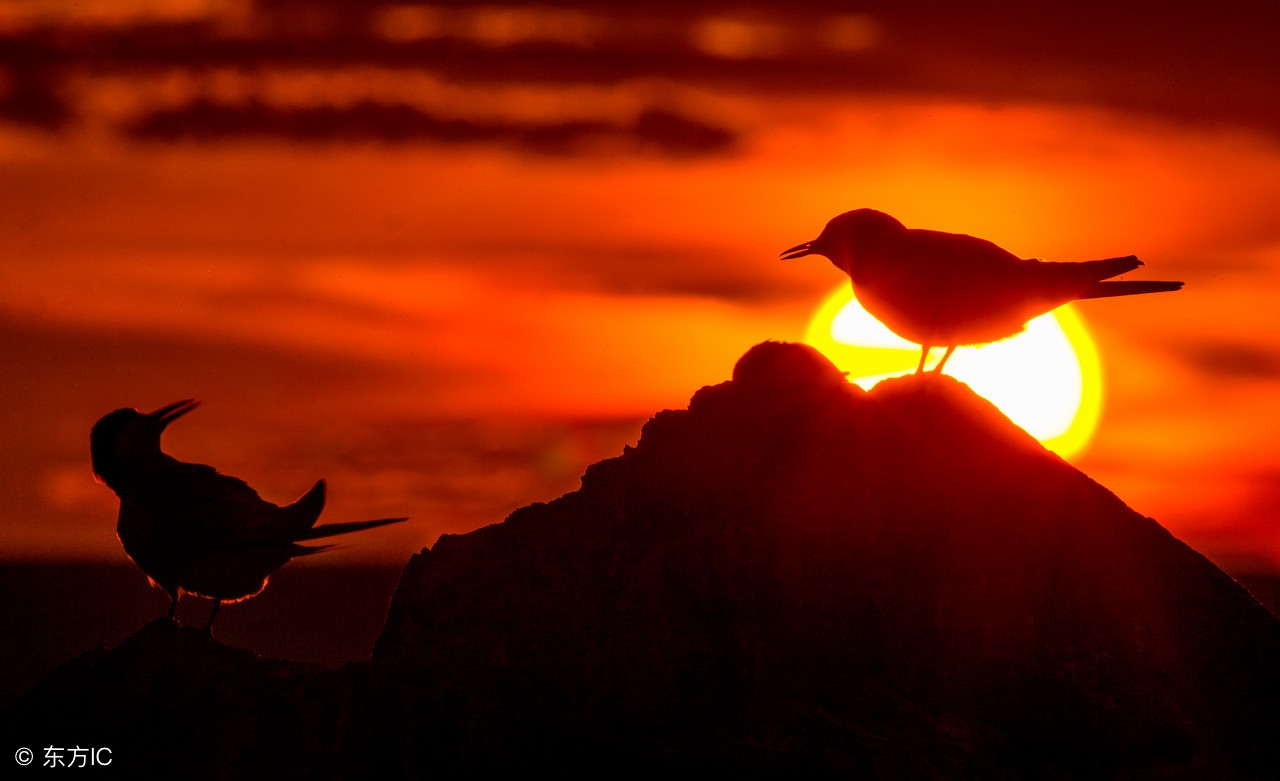 有关退休感言的打油诗,退休打油诗写得真好太有才了