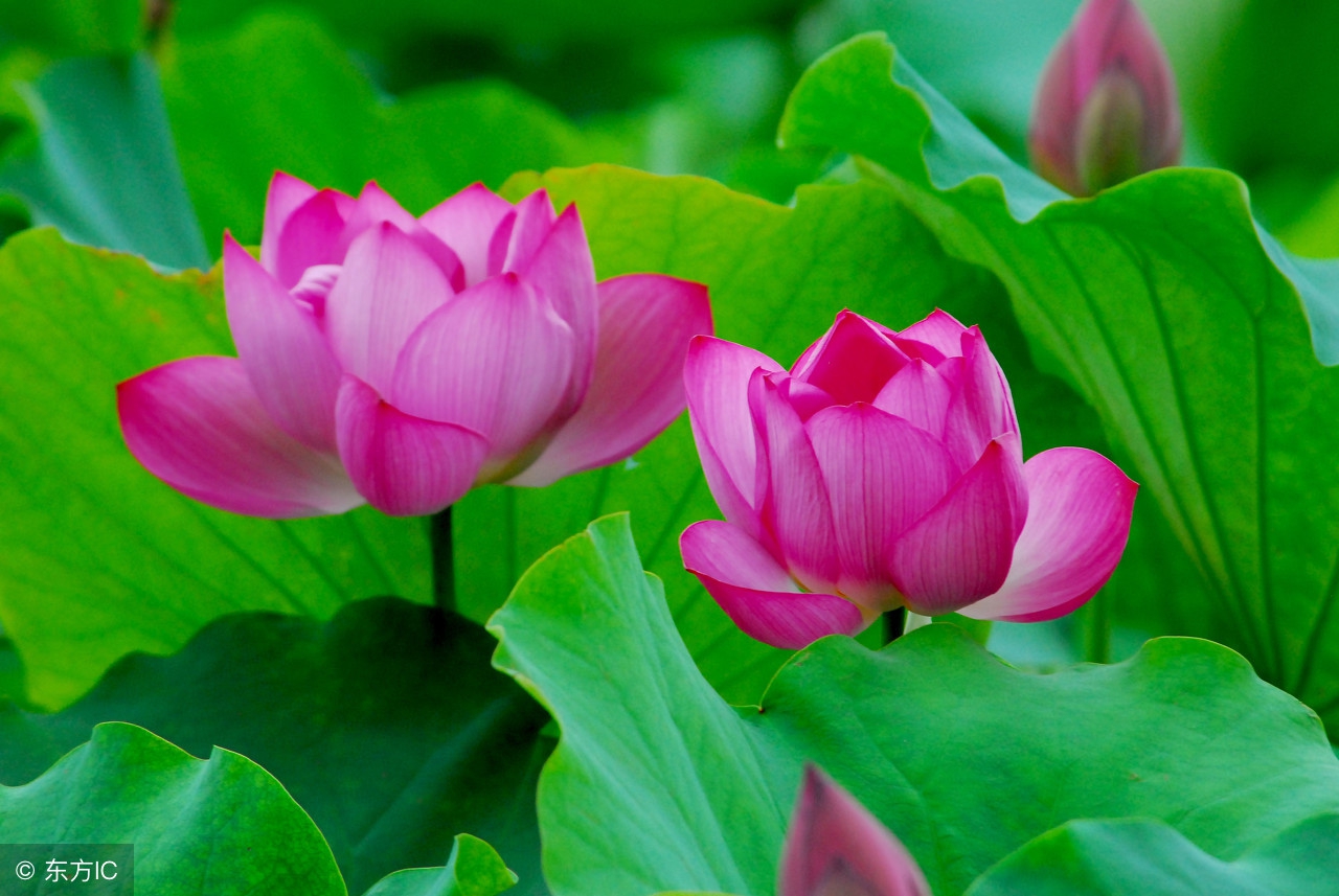 心情很糟糕的随笔,心情很糟糕的短文